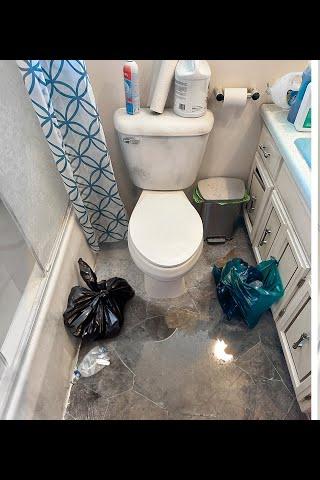Bathroom Deep Clean Makeover - Before cleaning transformation